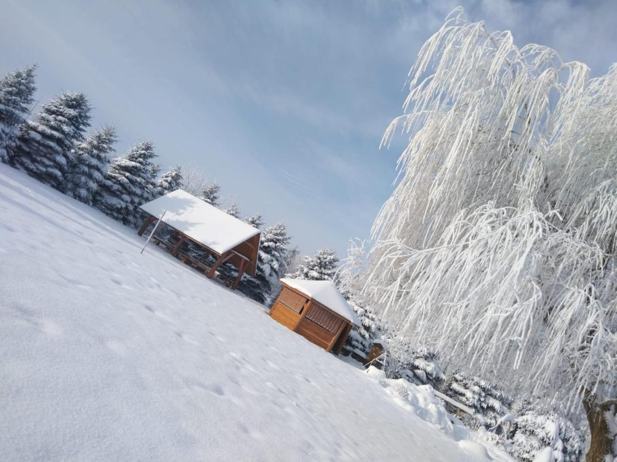 Agroturystyka Sajkiewicz Suchowola  Esterno foto